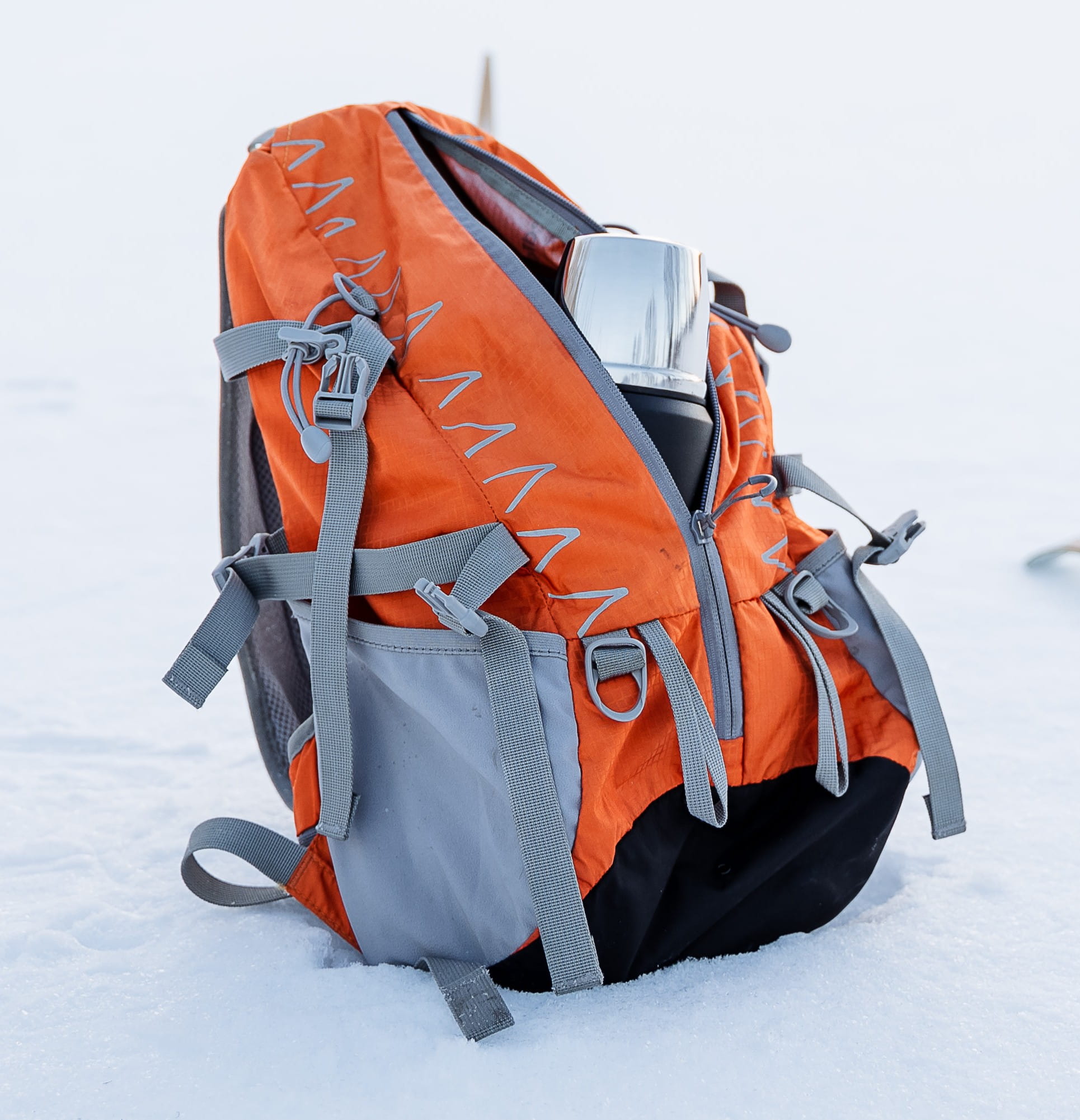 Snowboard bags